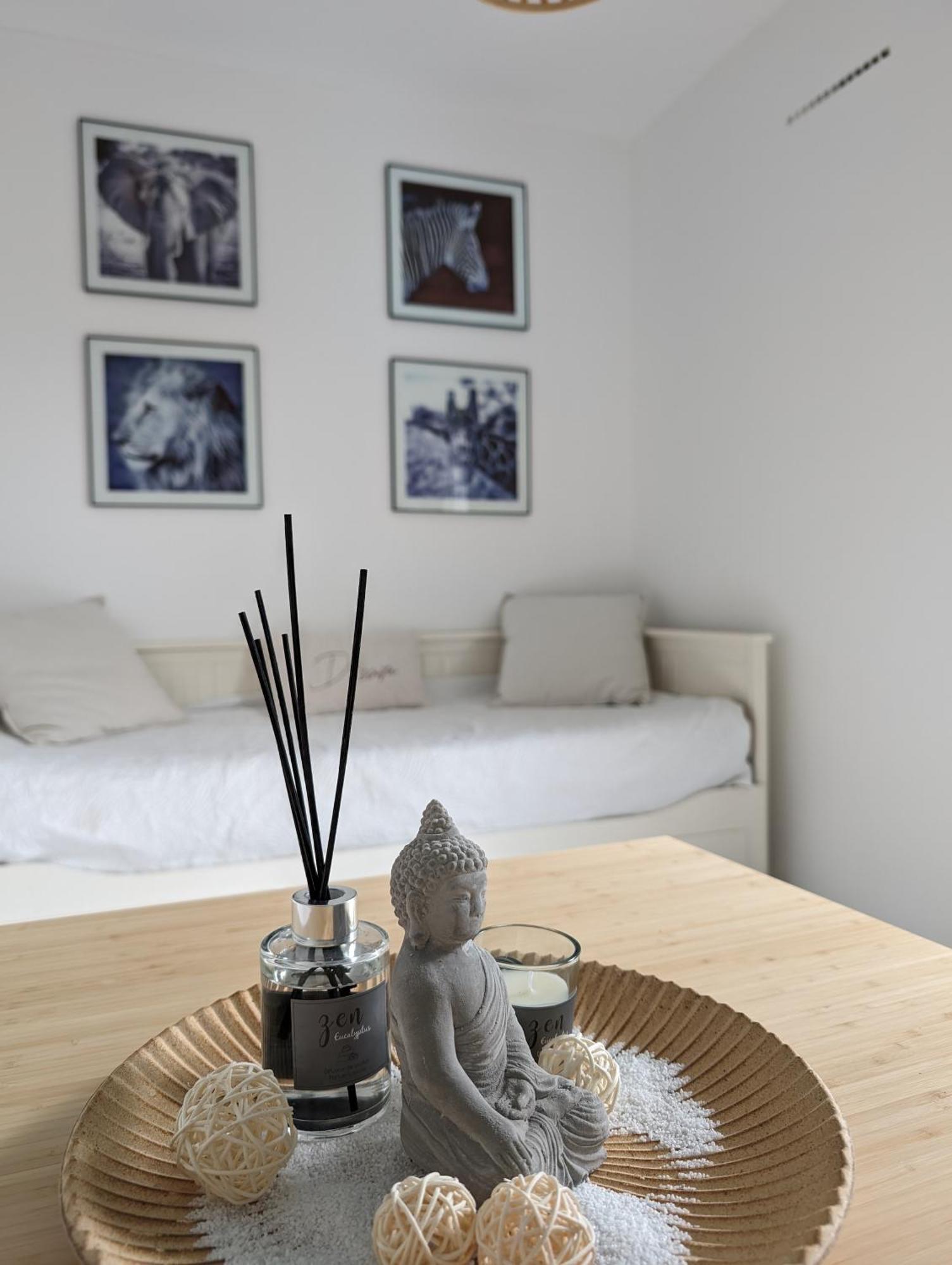 Appartement Cosy Au Calme A Cote Du Zoo Avec Balcon Et Parking Securise 몽펠리에 외부 사진